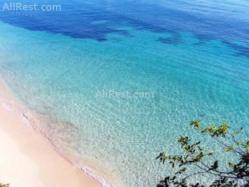 Couples Ocho Rios 97